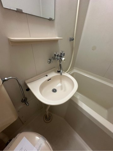 グリーンエージの洗面所