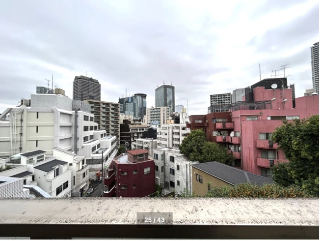 【その他】 | ★仲介手数料無料★MAISON AKASAKA（閑静な住宅街に建つヴィンティージレジデンス）