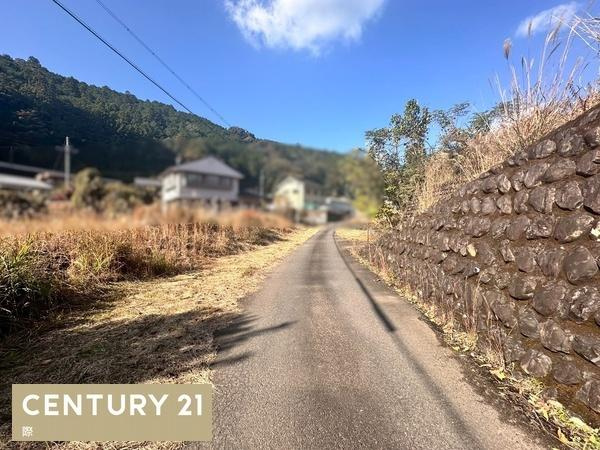 田辺市本宮町大居　土地の前面道路含む現地写真