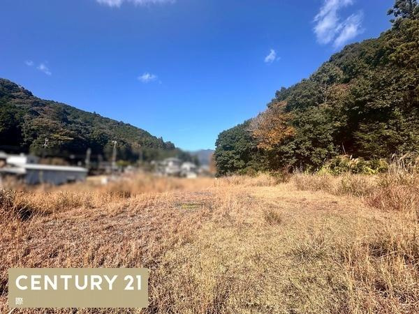 田辺市本宮町大居　土地のその他