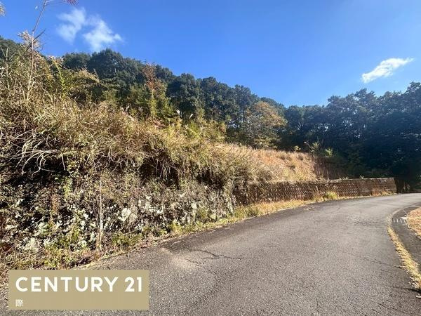 田辺市本宮町大居　土地