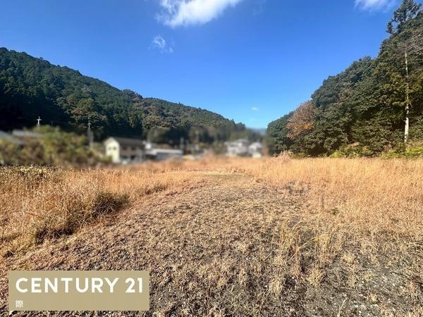 田辺市本宮町大居　土地のその他