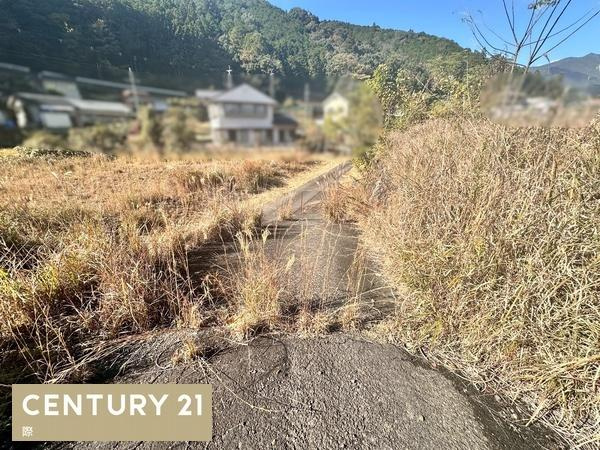 田辺市本宮町大居　土地のその他
