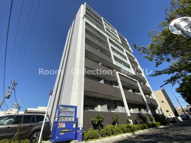 ル・ソレイユの画像