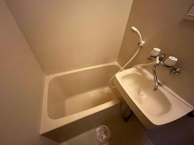 ドリームハウスの浴室|バス