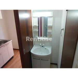 スイートいわとの洗面所