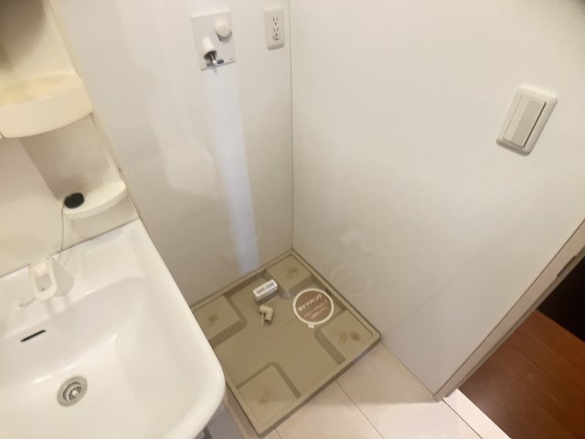 ヴェルドミール　2のその他