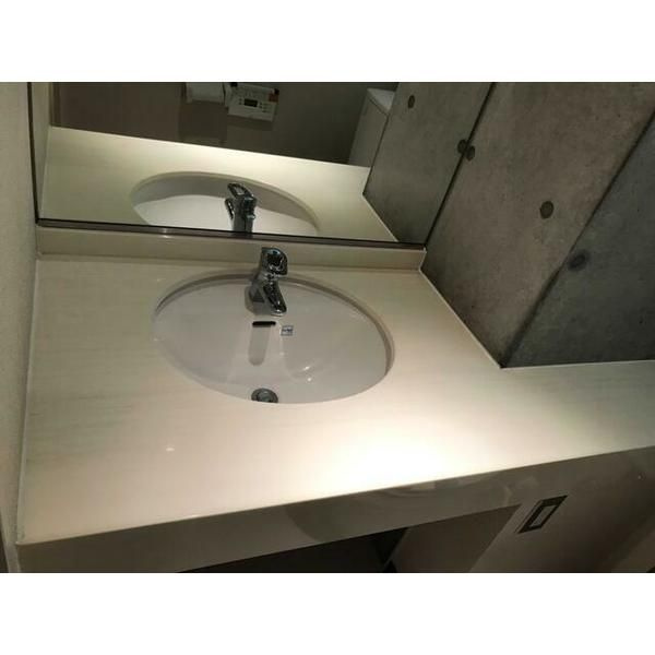 アーバイル目黒エピキュアの洗面所