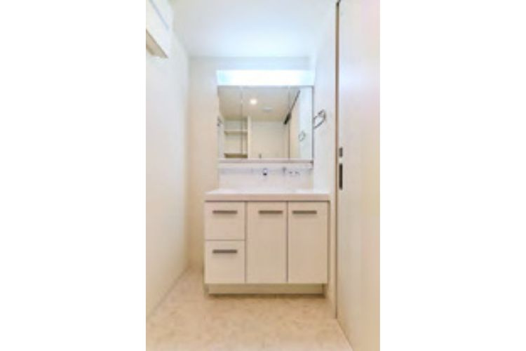 グランシティユーロパークス新小岩の洗面所