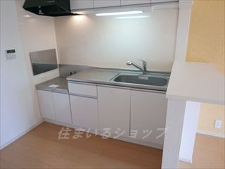 広島市安佐北区三入１丁目のアパートのキッチン|浄水器一体型シャワー水栓