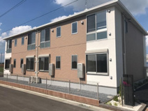 Rosa glauca（ロサグラウカ)の画像