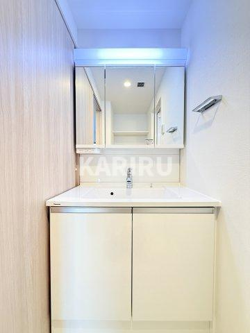 スプランディッド梅田グランノースの洗面所