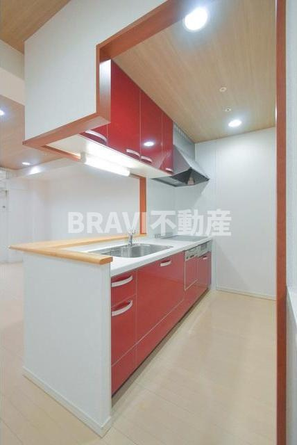BRAVI南堀江（ブラービ南堀江）　BRAVI不動産のキッチン|【BRAVI南堀江】
