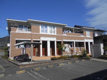 プラム　Ⅰの画像