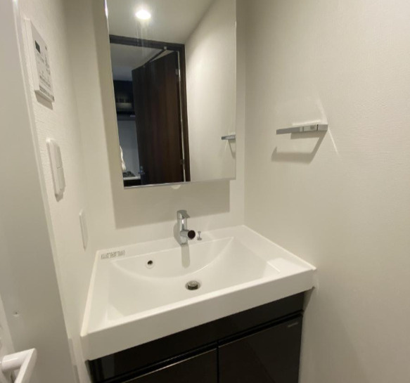 リビオメゾン両国ノースの洗面所