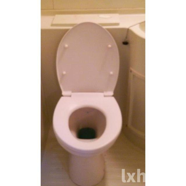 マンション藤のトイレ