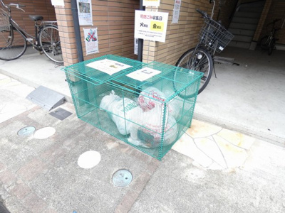 【その他共用部分】 | HutInNagoya