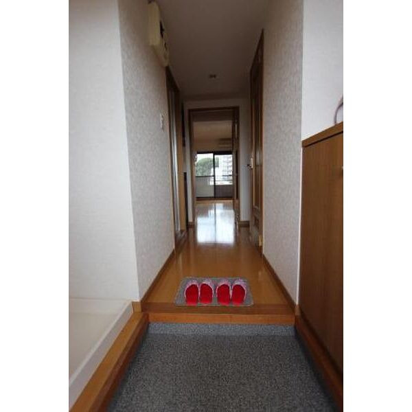 ダブルーンVIII桜坂の玄関