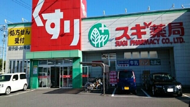 ハピネス　Ｋの周辺|スギ薬局蔵子店様まで700m
