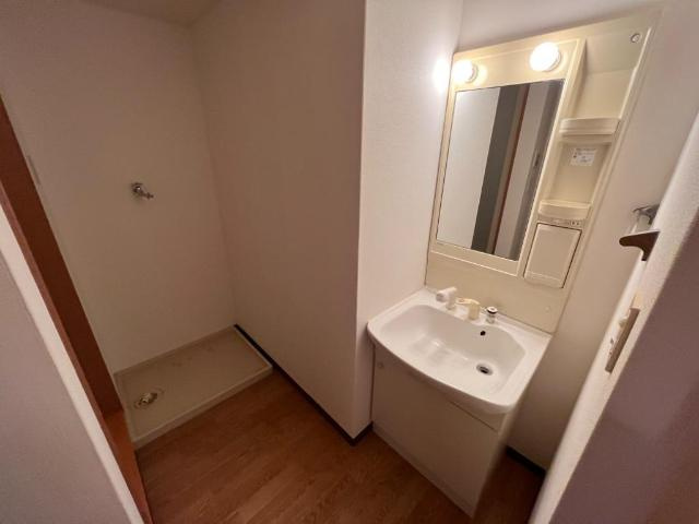 サン・リバー東原の洗面所|洗面