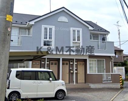 サニーキュート