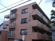 ハイネス岡本の画像