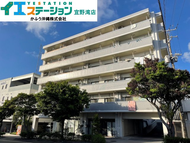 ヌーベル志真志