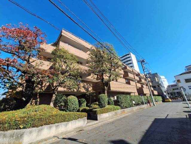 スターロワイヤル雪谷