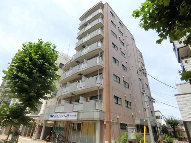 ハイグレード椿