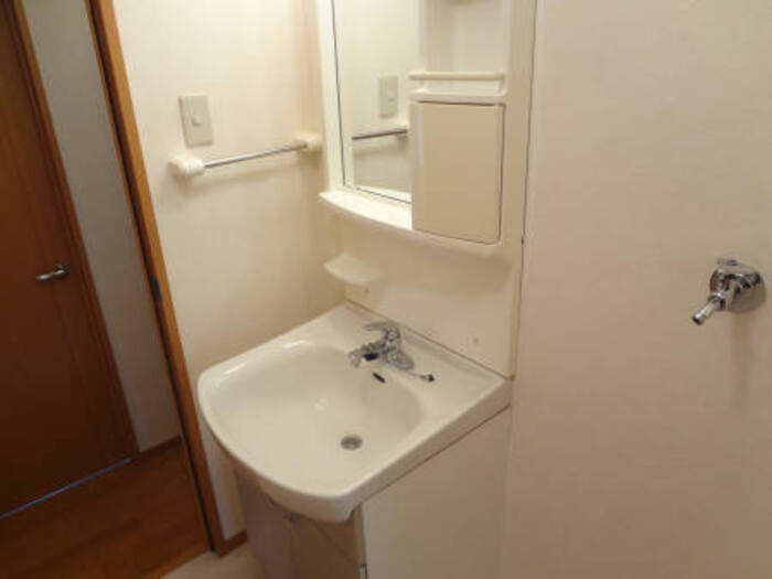 メゾン小柳の洗面所