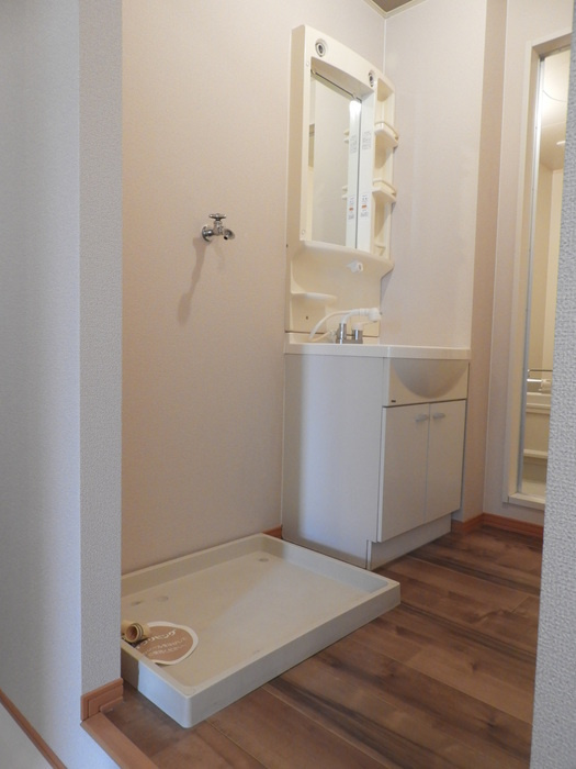 アリッサム２１　B棟の洗面所