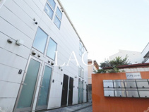 アプリコットの画像