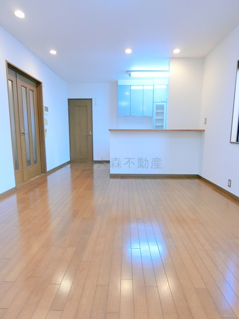 西蒲田3丁目2-2貸家ニシカマタサンチョウメカシヤの居間・リビング