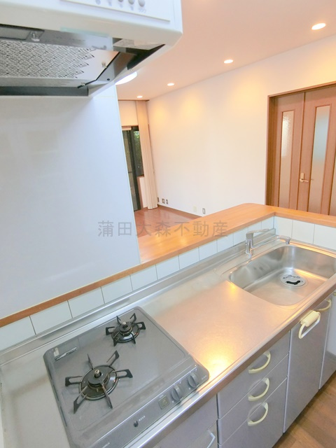 西蒲田3丁目2-2貸家ニシカマタサンチョウメカシヤのキッチン
