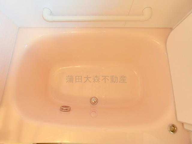 西蒲田3丁目2-2貸家ニシカマタサンチョウメカシヤの浴室