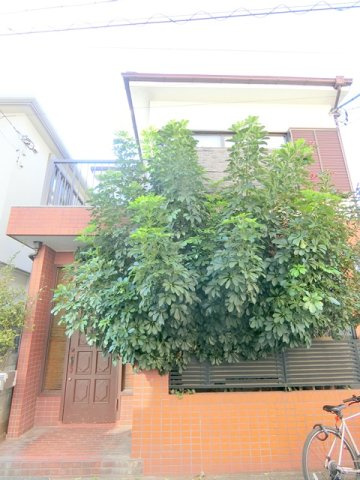 西蒲田3丁目2-2貸家ニシカマタサンチョウメカシヤの外観