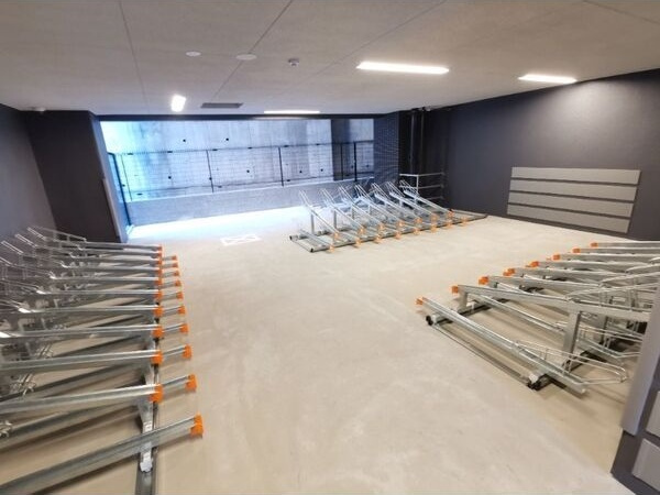 ディアレイシャス金山