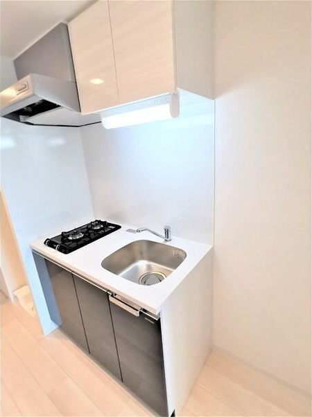 ディアレイシャス金山のキッチン