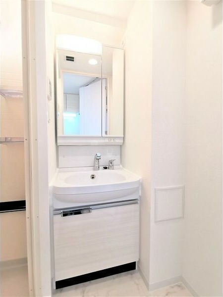 ディアレイシャス金山の洗面所