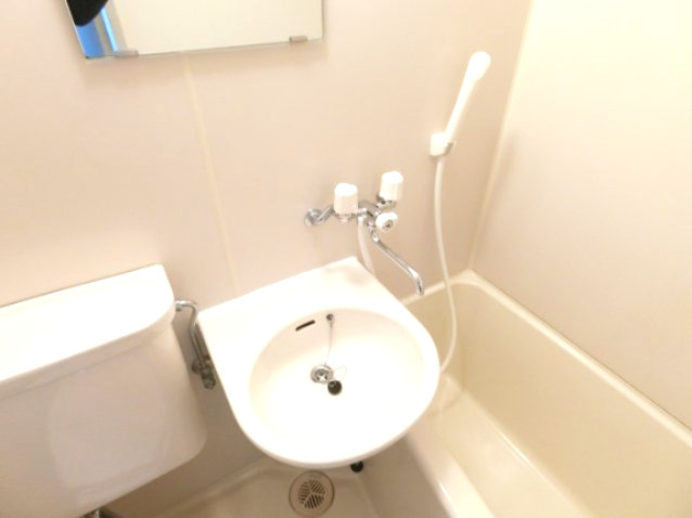 グレイスフル山本の洗面所