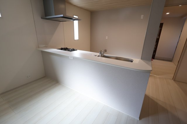 《仲介手数料無料》蓮田市西新宿３丁目115-11(全1戸)新築一戸建てブルーミングガーデンのキッチン