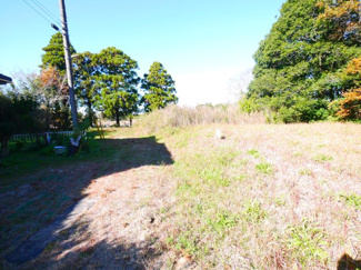 【展望】 | 茂原市粟生野　中古戸建 | 平成5年6月築  ウッドデッキ付  5DK   自然豊かな閑静な立地