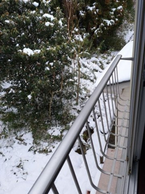  | ラッキーハイツ