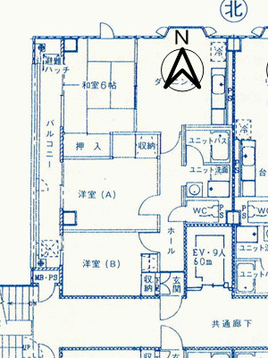  | 鶴島ガーデン