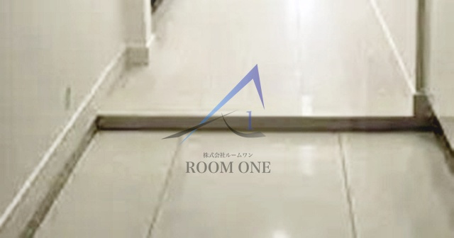 ル・リオン南大井の玄関|玄関です。