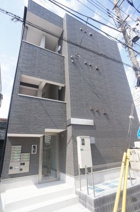 Ｔｈｅ　ｇｒａｓｓの画像