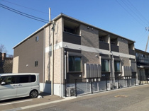 コスモスの画像