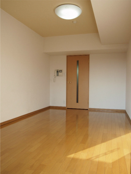 ルーブル学芸大学七番館　敷金礼金0　エレベータ―　オートロックの内装