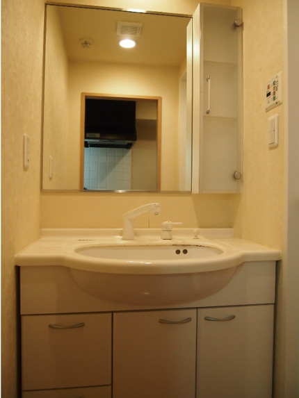 ルーブル学芸大学七番館　敷金礼金0　エレベータ―　オートロックの洗面所