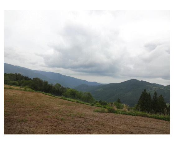 売土地　静岡市葵区日向の外観